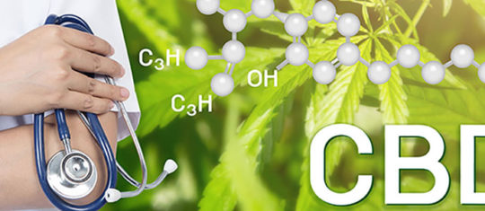 Les vertus potentielles du CBD