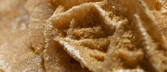 vertus thérapeutiques de la rose des sables