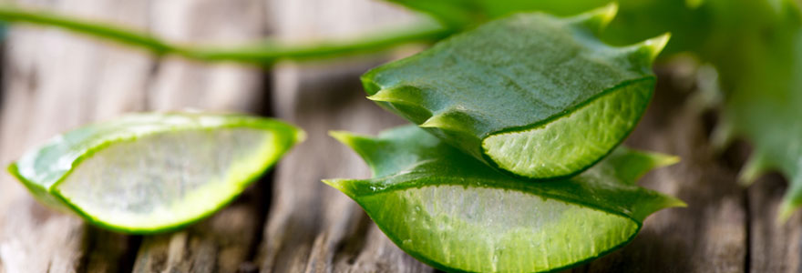 Aloe Vera pour la peau