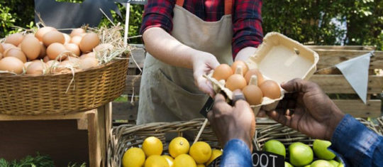 marché agricole