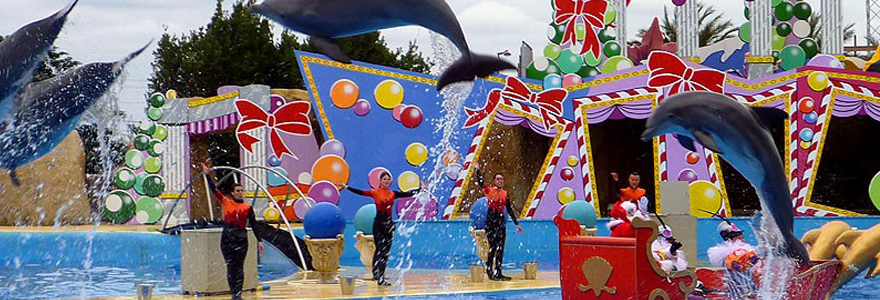 parc aquatique de Marineland