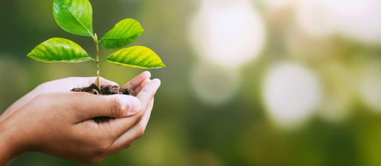 formations spécialisées dans l'environnement
