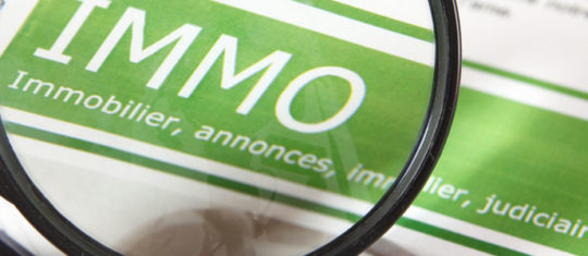 annonce immobilière