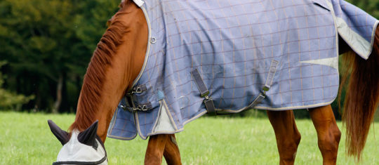couverture pour votre cheval