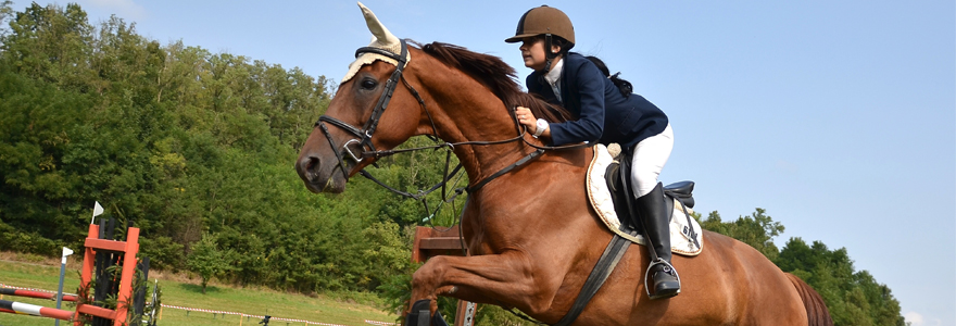 équitation