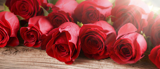 fleurs